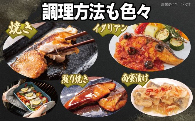 099H3890-1 さごしフィレ 合計1kg以上 【小分け 切り身 海産 魚 お弁当 焼き魚 冷凍 惣菜 焼くだけ 訳あり サイズ不揃い 圧倒的企業努力】