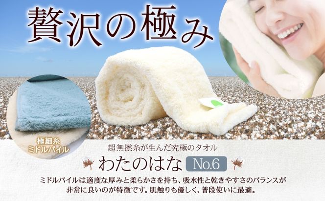 超無撚糸 タオル わたのはな No.6 平和 デイジー 約34×120cm 八分咲き 極細糸 ミドルパイル むねんし 雑貨 日用品 パイル 綿100％ 柔らか 軽い ボリューム 吸水 風合い ハーフバスタオル プレゼント ギフト 贈り物 浅野撚糸 送料無料 岐阜県 安八町