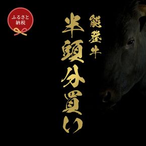 肉【和牛セレブ】能登牛 半頭買い（一括配送）11個口 黒毛和牛 霜降り ギフト 石川県 能美市 172111_DB050