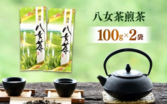 八女茶煎茶 100g×2袋《築上町》【株式会社木村食品(千代海苔株式会社)】お茶 茶 緑茶 ギフト[ABEI005]