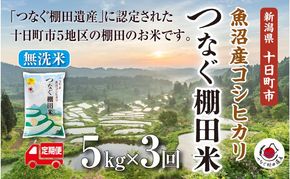 【令和8年産 先行予約】【定期便／全3回】無洗米5kg　新潟県十日町市魚沼産コシヒカリ「つなぐ棚田米」 米 こしひかり 無洗米 定期 十日町市