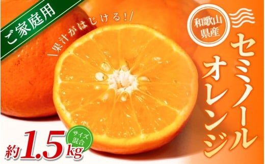 ya̎RI쒬zyƒpzI Z~m[IW 1.5kg a̎RY 2S~2LTCY2026N4{`5{ɏymrmt026z