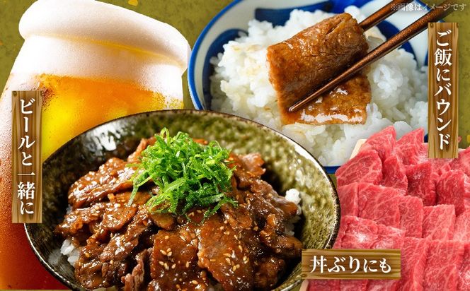 宮崎牛赤身（ウデ・モモ）焼肉 500g
