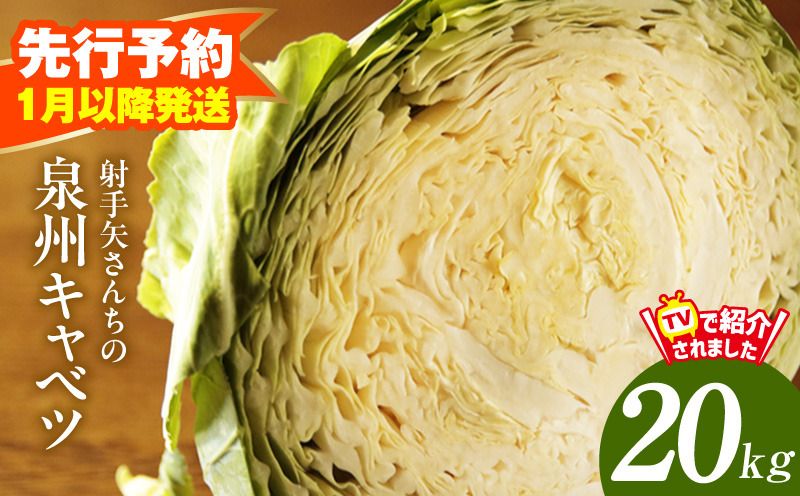 ity0040 [先行予約]泉州キャベツ 20kg[新鮮 野菜 泉佐野産 やさい 射手矢農園 高評価 数量限定]