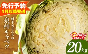 G4291 【先行予約】泉州キャベツ 20kg【新鮮 野菜 泉佐野産 やさい 射手矢農園 高評価 数量限定】