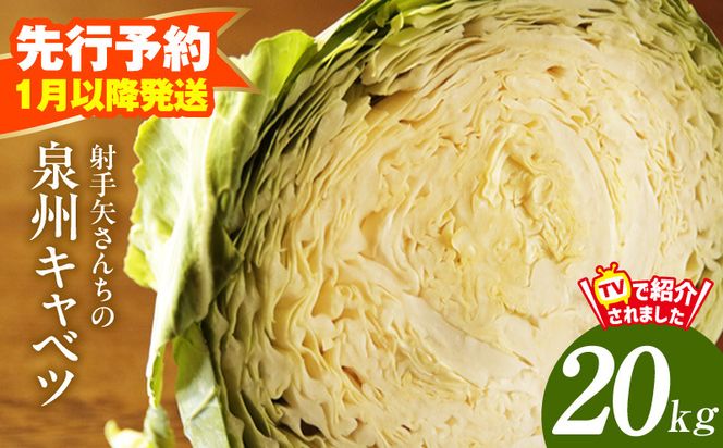 G4291 【先行予約】泉州キャベツ 20kg【新鮮 野菜 泉佐野産 やさい 射手矢農園 高評価 数量限定】