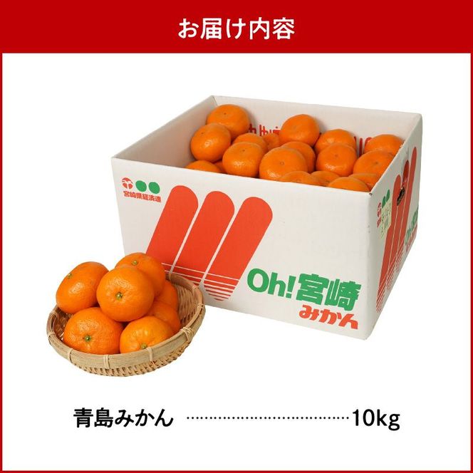青島みかん 10kg　N0132-YB351