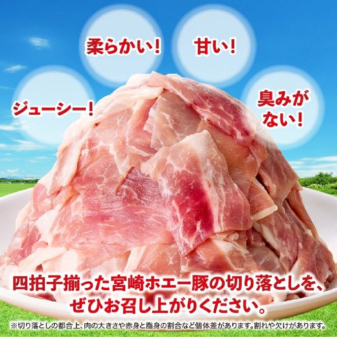 【毎月数量限定】ホエー豚 切り落とし 3.6kg（300g×12袋 豚肉 豚 切り落とし こま切れ 小間切れ 小分け しゃぶしゃぶ）