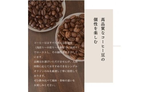 【定期便：6ヶ月連続でお届け】シングルオリジンコーヒー100g × 3品種（豆）計300g×6ヶ月 1075025 コーヒー 珈琲 コーヒー豆