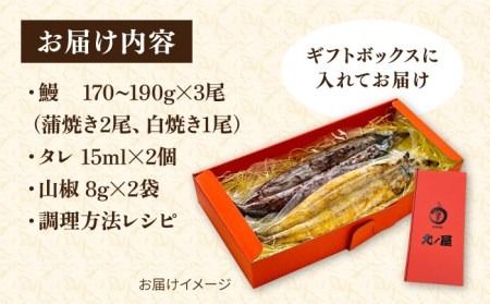 【年内発送】うなぎ かば焼き・白焼き 北ノ屋 (竹) 計3尾セット ( かば焼き 2尾 ＆ 白焼き 1尾 ) 糸島市 / 北ノ屋うなぎ [ACL002] うなぎ 鰻 ウナギ 蒲焼き 白焼き 国産 蒲焼 タレ 詰め合わせ 贈答