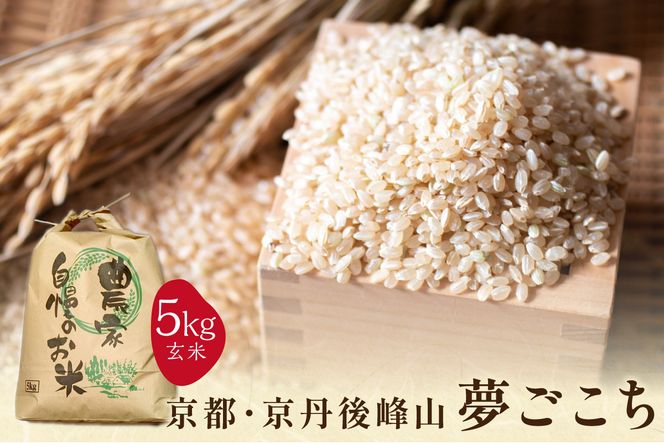 2025年産 京都・京丹後峰山 特別栽培米夢ごこち 5kg 【玄米】　MF00063