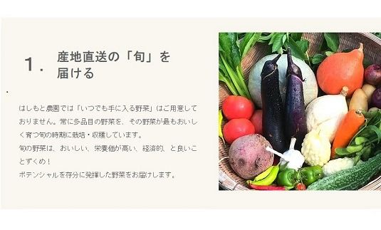 【52-1】伊勢ノ国のがぶっと野菜玉手箱　：　毎週1回定期便（大人4人1週間分）52回