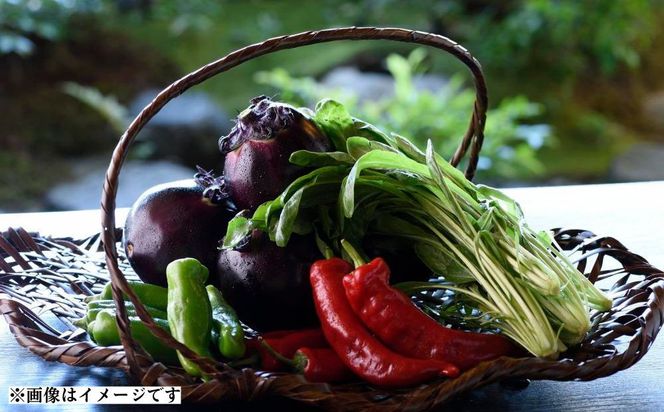 【下鴨茶寮本店】利用券15,000円分｜京都 老舗料亭 人気店［ 京都 老舗 料亭 ランチ・ディナー共通 割引券 人気 おすすめ グルメ 京料理 京懐石 送料無料 ふるさと納税 ］ 261009_A-AF020