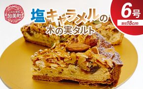 創業1860年　おかしの越後屋　塩キャラメル木の実タルトプレミアム(6号) [おかしの越後屋 宮城県 加美町 44581396] タルト 塩キャラメル 木の実 洋菓子 冷凍