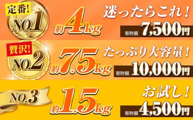 【ご家庭用/訳あり】たねなし柿 約1.5kg 約4kg 約7.5kg《2026年9月中旬-11月上旬頃より出荷予定》 和歌山県 紀の川市 柿 カキ かき ジューシー フルーツ---wfn_wlocal62_9c11j_25_4500_1500g---