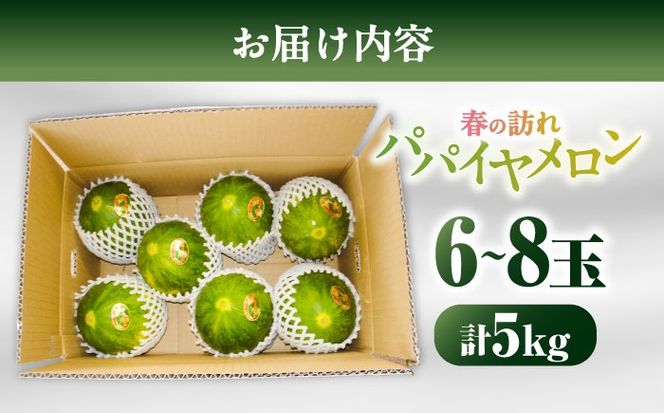 【2026年3月中旬～発送】パパイヤメロン 6〜8玉 約5kg / メロン めろん 果物 フルーツ / 南島原市 / うえだメロン園[SAD008]