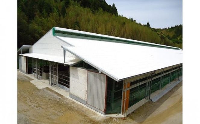 藤増 しまね和牛モモ切落し 750ｇ【冷蔵】 322032_DS024