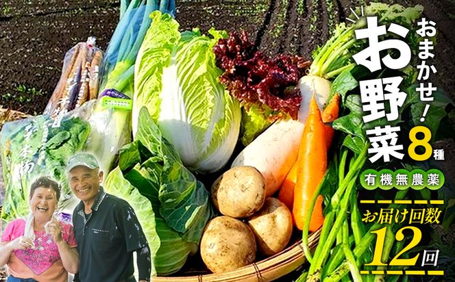 【12回定期便】特別栽培季節のお野菜セット 8品 野菜 無農薬 有機栽培 新鮮 やさい 旬 詰合せ 国産 宮崎県 九州 送料無料