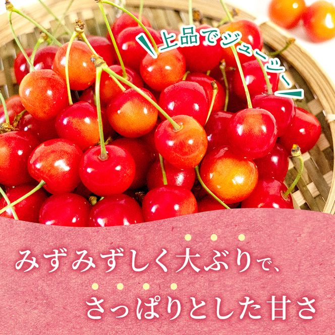 2027年発送 北海道 仁木町産 さくらんぼ 佐藤錦 180g×2P Lサイズ   サクランボ チェリー フルーツ 果物 果物類 仁木町 仁木 [林果樹園]