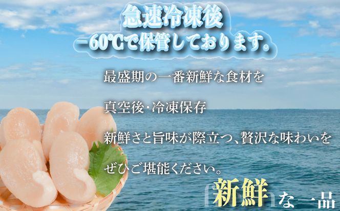 平貝 (タイラギ)130g以上×3個 冷凍 貝 魚貝類 魚貝 タイラガイ