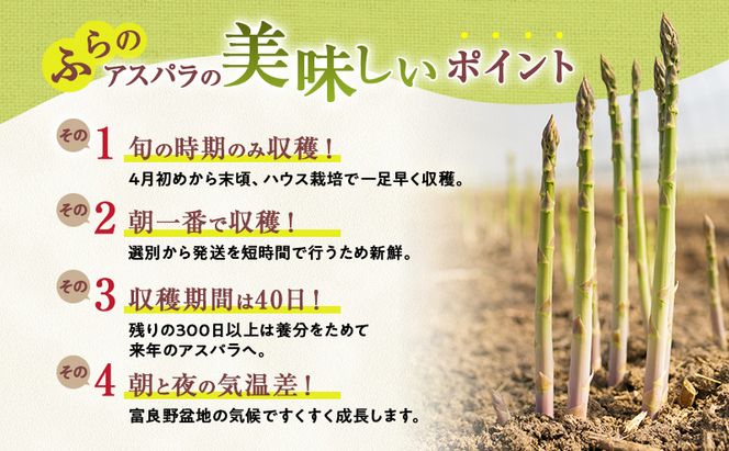 2027年春発送 ふらの産 グリーンアスパラ1kg［Lサイズ］ハウス栽培 富良野 北海道 野菜 アスパラ 朝採り アスパラガス