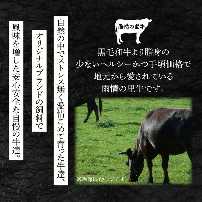 雨情の里牛ももスライス800ｇ「焼き肉用」【ブランド牛 やきにく 牛肉 うじょうのさと 牛 スライス】(BL205)