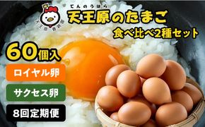 【定期便】8回定期【天王原のたまご】 サクセス卵30個/ロイヤル卵30個 【8回定期便 セット たまご 卵 玉子 タマゴ 濃厚 食べ比べ ハリ 弾力 ボリューム 甘味 旨味 卵黄 風味 生 コク 甘味 卵かけご飯 卵焼き 目玉焼き オムレツ 茶碗蒸し お菓子作り パンの材料】