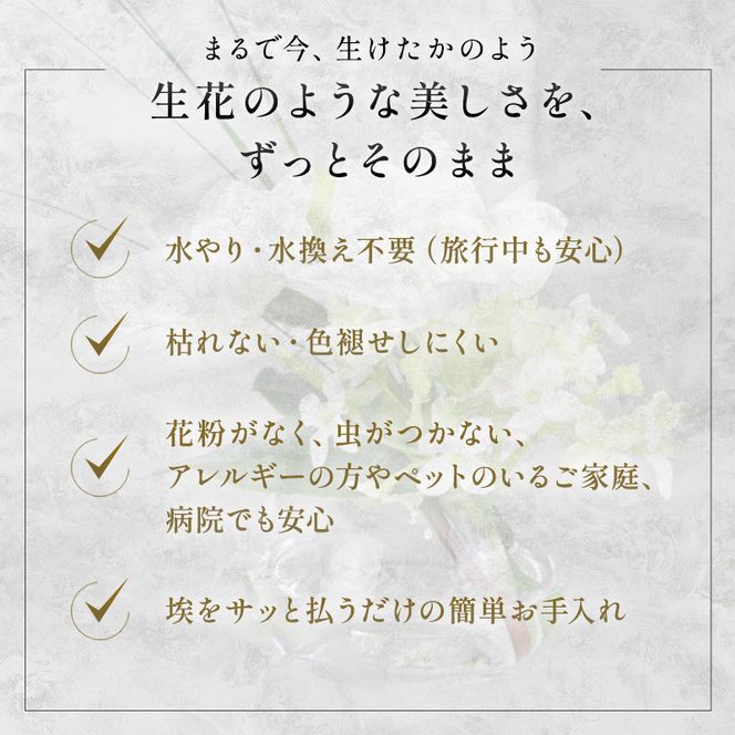 エミリオロバ　仏花セットA　ユーチャリスS24 2個セット