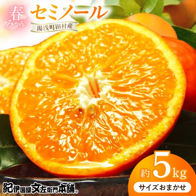 【2027年先行予約】セミノールオレンジ [約5kg] 和歌山県有田産 春みかん (果実サイズおまかせ) 春柑橘 紀伊国屋文左衛門本舗_V7417