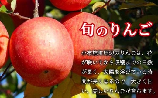 シャインマスカット1房とりんご2玉 詰め合わせ ［小布施屋］果物 詰合せ セット フルーツ ぶどう 林檎 シャインマスカット 数量限定 期間限定 先行予約 冷蔵便 クール便 長野県産 信州産 送料無料 令和7年産 【2025年9月下旬頃～11月上旬頃まで順次発送】 ［A-307］