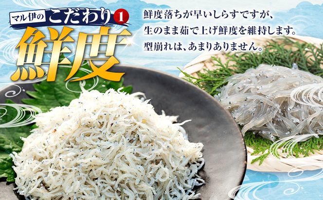 【小分け・容量が選べる】しらす 訳あり 400g～2kg しらす干し 小分け 冷凍 シラス ごはん おかず チャーハン パスタ 料理 大きめ ランキング こだわり 鮮度 天塩 マル伊商店 愛知県 南知多町