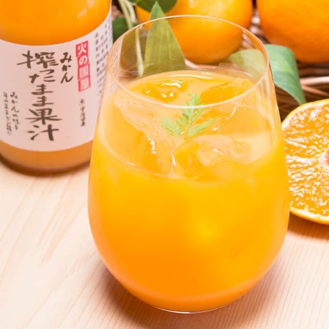 京都・火の國屋・搾ったまま果汁（みかん2本）〈無添加 生搾り 高濃度 果実 みかん ミカン ジュース 果汁 飲料 果物〉 果汁飲料 野菜飲料 みかんジュース 加工食品 