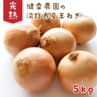健幸農園の完熟淡路島産玉ねぎ 5kg　玉ねぎ