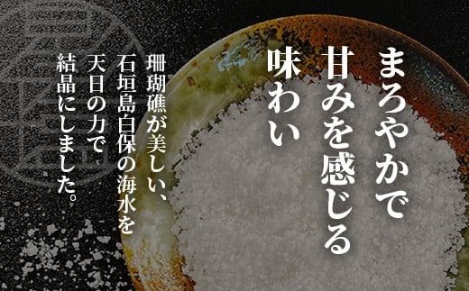 【モンドセレクション金賞】南十字星の星塩 100g 【 石垣島 塩 料理 海塩 食塩 天日 海水 天然 】NY-3