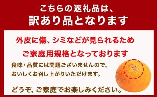 ＜4月より発送＞家庭用 樹上完熟はっさく10kg+250g（傷み補償分）有田の春みかん・五月八朔・さつきはっさく・木生りはっさく・きなりはっさく【光センサー選別】訳あり