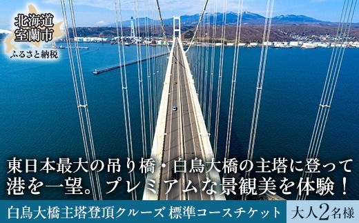 白鳥大 橋主塔登頂クルーズ 標準コースチケット 大人2名様 MROX008