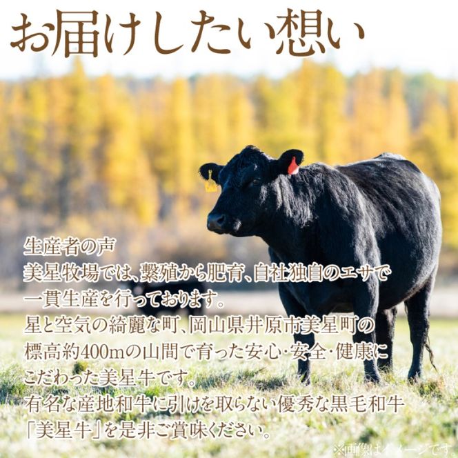黒毛和牛 定期便 6回発送 サーロインステーキ 約400g ×3回 しゃぶしゃぶ すき焼き 用 約400g ×3回 合計 約2.4kg A4等級 以上 牛脂付き サーロイン 美星牛 美星牧場 岡山 