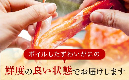 訳あり ボイル ずわいがに 総重量 1kg (内容量 900g)規格外 不揃い 傷 足 訳アリ わけあり 脚折れ 2L～3L 大サイズ 弥七商店 かに弥 ずわい蟹 ズワイガニ かに カニ 蟹 カニ足 脚 ずわい 鍋 数量限定