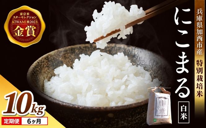 定期便 令和8年産 新米 白米 10kg×6回 特別栽培米 にこまる （ 山田錦 ）　米 お米 こめ コメ 特栽米 10kg 6回 60kg ひょうご安心ブランド ご飯 ごはん ゴハン 精米 兵庫県 加西市