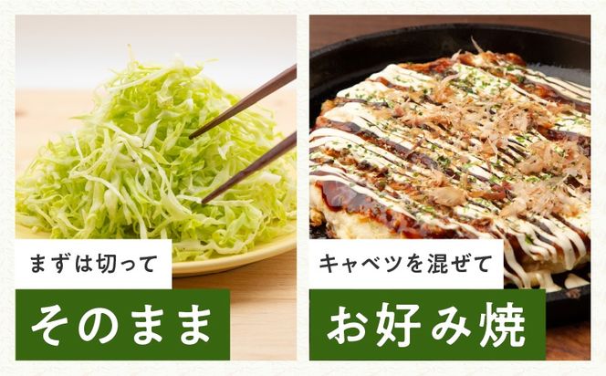 ity0002 【先行予約】射手矢さんちの泉州キャベツ 10kg【家計応援 新鮮 野菜 やさい 射手矢農園 高評価 きゃべつ 訳あり サイズ不揃い 数量限定 TVで紹介！】