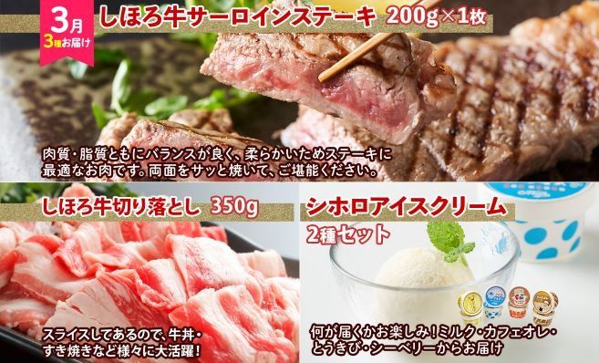 【CF】定期便 北海道 よくばりセット 全3回 しほろ牛 牛丼 コンビーフ カムカムステーキ ハンバーグ メンチカツ コロッケ フライドポテト サーロイン ステーキ アイスクリーム 牛肉 スイーツ 総菜 冷凍 詰合せ お取り寄せ 送料無料 十勝 士幌町【L903】