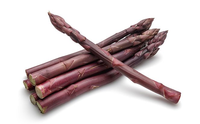 2026年発送◆3ヵ月定期便◆北海道 富良野市産 完熟ミニトマト キャロル アスパラ 緑 紫 朝どり 露地 グリーン 野菜 新鮮 数量限定【藏ファーム】