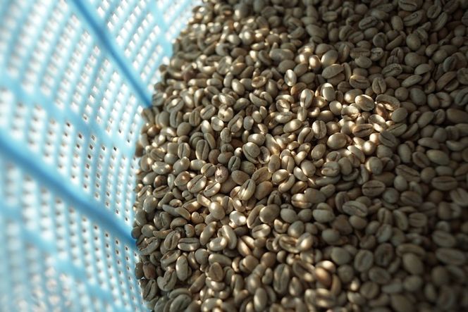 【選べる内容】コーヒー豆 200g ×3銘柄 ギフトセット ※北海道・沖縄・離島への配送不可