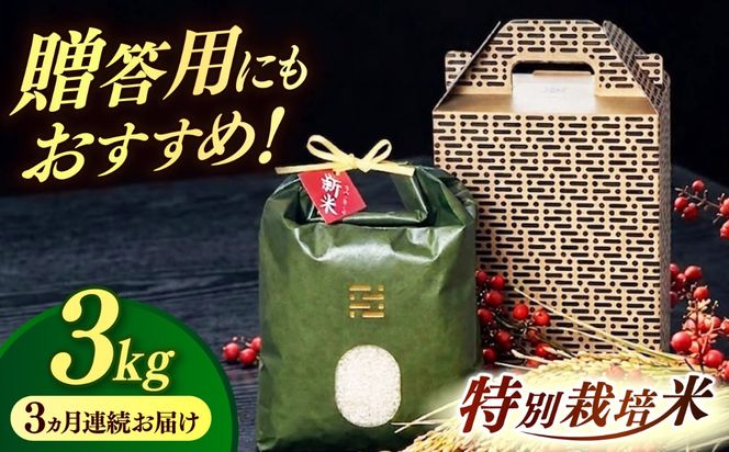 【全3回定期便】とくべつの中のとくべつ  特別栽培米 夢つくし 3kg 【築上町】 / itoshimacco / 株式会社やました[ABEX002]