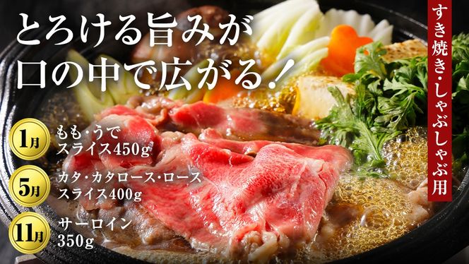 ＼ 選べるスタート月 ／ 【定期便】【全12回】『常陸牛』人気12か月堪能セット 牛肉 肉 お肉 国産 国産牛 ヒレ ステーキ ハンバーグ サーロイン 赤身 切り落とし 霜降り カルビ すき焼き しゃぶしゃぶ 和牛 黒毛和牛 (茨城県共通返礼品) [BX20-111-NT]