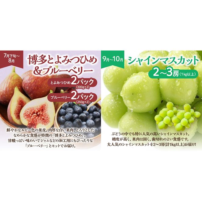 【定期便/年5回】JAむなかた厳選！人気フルーツ定期便【JAむなかた ほたるの里】_HB0164