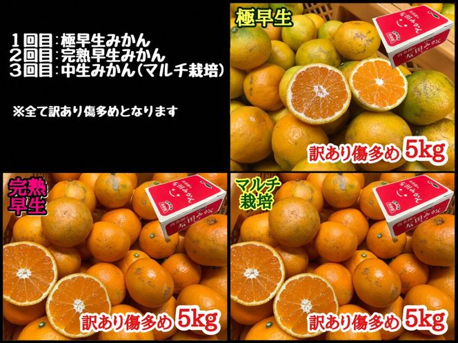 定期便 訳あり 傷多め 5kg × 3回 コース 有田みかん 食べくらべ 3種 全3回 南泰園 BS870