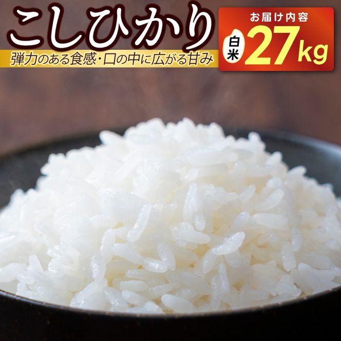 【先行予約・新米】 ★令和8年産★ 「コシヒカリ」白米 精米 27キロ   (AU043)
