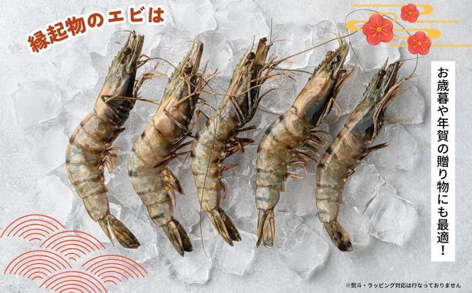 活〆還元車えび（急速冷凍・1Kg）【エナジック車海老養殖場】