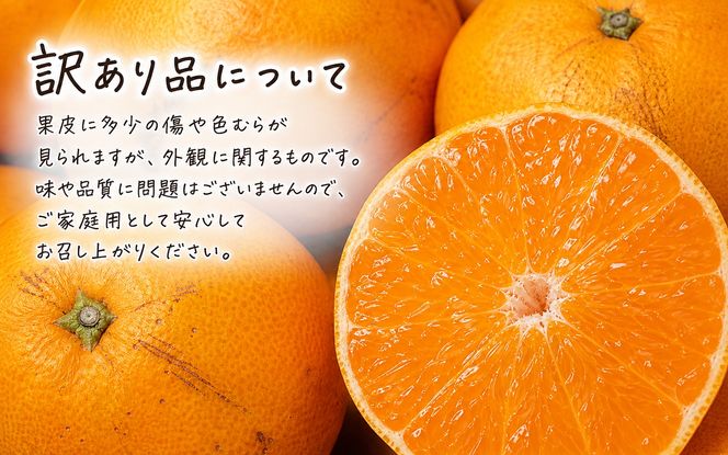 【ご家庭用訳あり】紀州和歌山産　せとか　約５ｋｇ　【先行予約】【みかん】 ※2027年2月中旬頃〜2027年3月中旬頃発送予定（お届け日指定不可） 【uot748A】